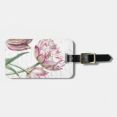 Botanische rosa und weiße Tulpe-Illustration Gepäckanhänger (Vorderseite horizontal)