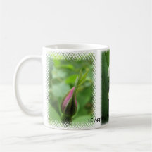 Botanische Rose & Lily der Tal-Tasse
