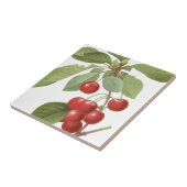 Botanische Rote Kirschen Fliese (Seite)