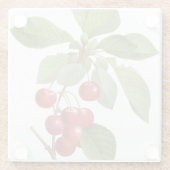 Botanische Rote Kirschen Glasuntersetzer (Rückseite)