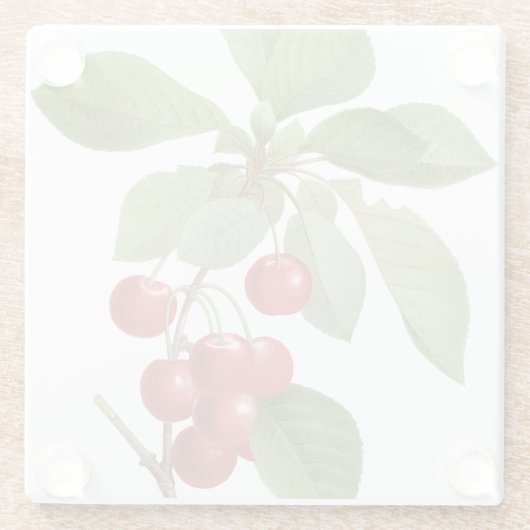 Botanische Rote Kirschen Glasuntersetzer (Rückseite)