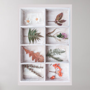 Botanische Schattenbox, Blume Blätter Ferns Poster
