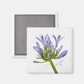 Botanische Schrift - Die Lüge des Nils Magnet (Vorderseite/Rückseite)