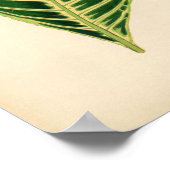 Botanische Schrift - Tropisches Leaf Poster (Ecke)
