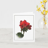 Botanische Sketch-Karte des Red Geranium Karte (Gelbe Blume)