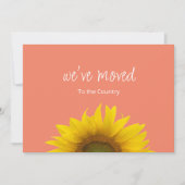 Botanische Sonnenblume, die wir bewegt haben Pfirs Ankündigung (Vorderseite)