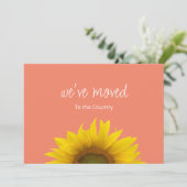 Botanische Sonnenblume, die wir bewegt haben Pfirs Ankündigung (Stehend Vorderseite)