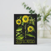 Botanische Sonnenblumen Dusky Postkarte 2 (Stehend Vorderseite)
