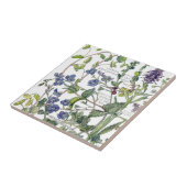 Botanische Speedwell Wildblume-Blumen-Fliese Fliese (Seite)