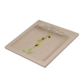 Botanische Spinne Orchid Keramik Tile Fliese (Seite)