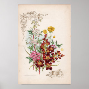 Botanische Stiche, Mai Poster