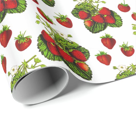 Botanische Strawberry Illustration Print on White Geschenkpapier (Rolleneckpunkt)