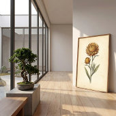 Botanische Strohblumen-Wandkunst Poster
