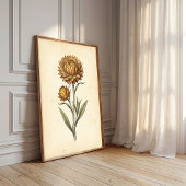 Botanische Strohblumen-Wandkunst Poster