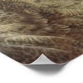 Botanische Szene von Zebras in einer Oase Poster (Ecke)