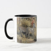 Botanische Szene von Zebras und Löwen in einer Oas Tasse (Links)