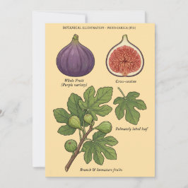 Botanische Tafel Feige Ficus Carica  Einladung