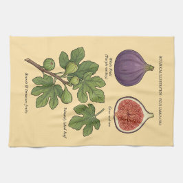 Botanische Tafel Feige Ficus Carica  Geschirrtuch