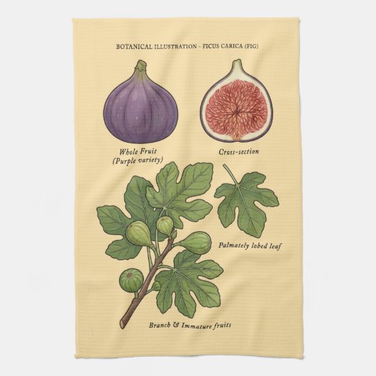 Botanische Tafel Feige Ficus Carica Geschirrtuch (Vertikal)