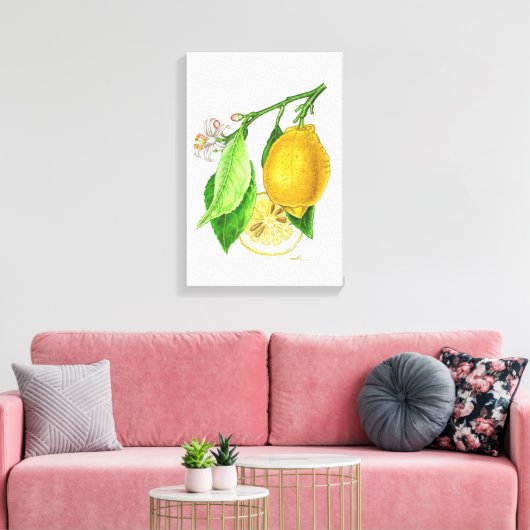 Botanische Tafel: Zitrone "Limonier ferraris" Leinwanddruck (Insitu (Wohnzimmer))