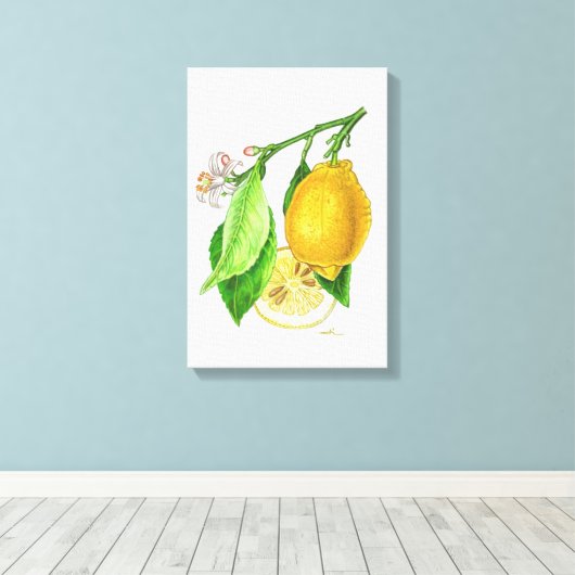 Botanische Tafel: Zitrone "Limonier ferraris" Leinwanddruck (Insitu (Holzboden))