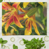 Botanische Taglilie, kanadische Fotografie Geschirrtuch (Gefaltet)