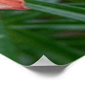 Botanische Taglilie, kanadische Fotografie Poster (Ecke)