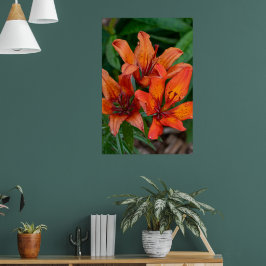 Botanische Taglilie, kanadische Fotografie Poster