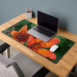 Botanische Taglilie, kanadische Fotografie Schreibtischunterlage