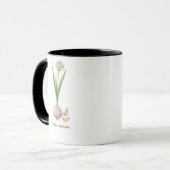 Botanische Tasse Allium sativum (Vorderseite Links)