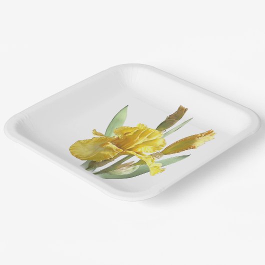 Botanische Teller aus Yellow Bartded Iris (Gewinkelt)