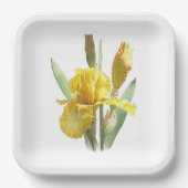 Botanische Teller aus Yellow Bartded Iris (Vorderseite)
