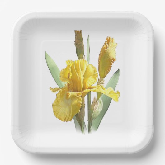 Botanische Teller aus Yellow Bartded Iris (Vorderseite)