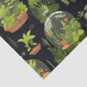 Botanische Terrarien auf Schwarzteppichpapier Seidenpapier (Ausschnitt)