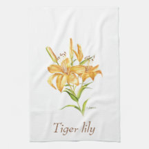 Botanische Tigerlilie