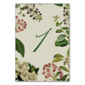 BOTANISCHE TISCHNUMMERN - CREME (Rückseite)