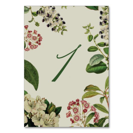 BOTANISCHE TISCHNUMMERN - CREME (Rückseite)