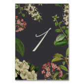 BOTANISCHE TISCHNUMMERN - GRAU (Rückseite)