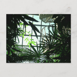 Botanische Treppen Postkarte