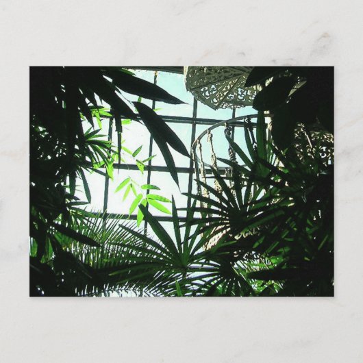 Botanische Treppen Postkarte (Vorderseite)