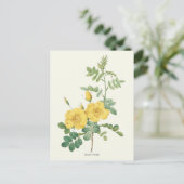 Botanische Vintag-Gelb-Rose-Printwerbung Postkarte (Stehend Vorderseite)