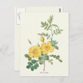 Botanische Vintag-Gelb-Rose-Printwerbung Postkarte (Vorne/Hinten)