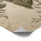 Botanische Vintage-Blumen  Poster (Ecke)