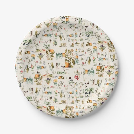Botanische Vintage-Illustrationen Collage Pappteller (Vorderseite)