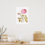 Botanische Vintage Rosa Rose Poster (Küche)