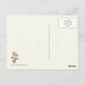 Botanische Vintage Rosa Rose Postkarte (Rückseite)