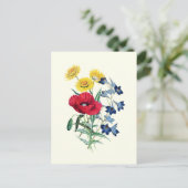 Botanische Vintage Wildblumen: Mohn, Daisy Postkarte (Stehend Vorderseite)