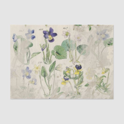 Botanische Violetten Pressierte Blume Vintag Geweb Seidenpapier (Vorderseite)