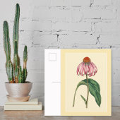 Botanische Vorstellung Postkarte