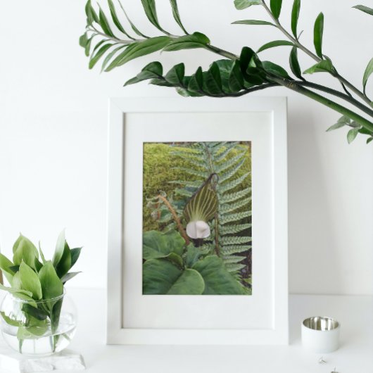 Botanische Waldflora Fotodruck